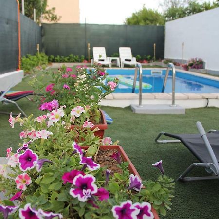 מוסטר Holiday Home Flora מראה חיצוני תמונה